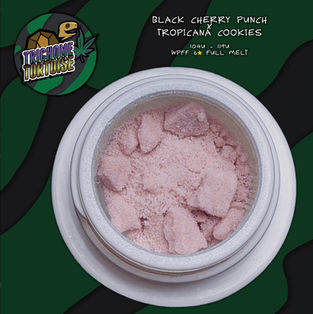 Ego Clash 2023 & Hash-Vegas: Interview with The Hash Champ Trichome Tortoise