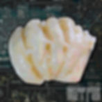 Ztrawberry BananaZ Live Rosin THCa product, Tier 1, by Quantum Exotics, with visible text.