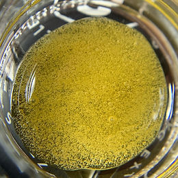 Lab Lessons and Lame Legislation: Failures in Regulating CA Cannabis Testing (BCC Fact Sheet)