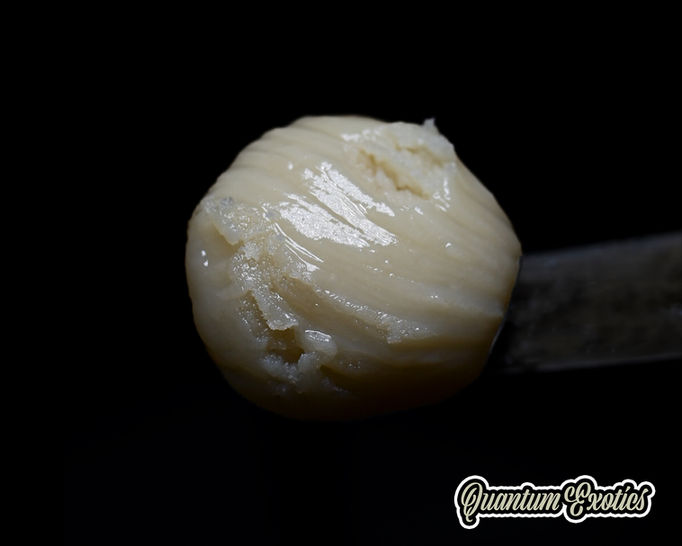 Live Rosin Dab of THCa