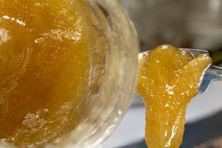 Live Rosin Jam: The Basics