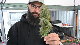 @Punch_Extracts X The King of Cakes: A @HumboldtKineFarms Flavor-Pack