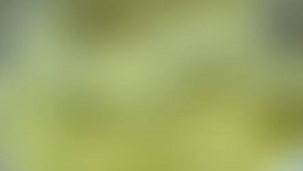 The 2021 Hashwriter Hash Awards List
