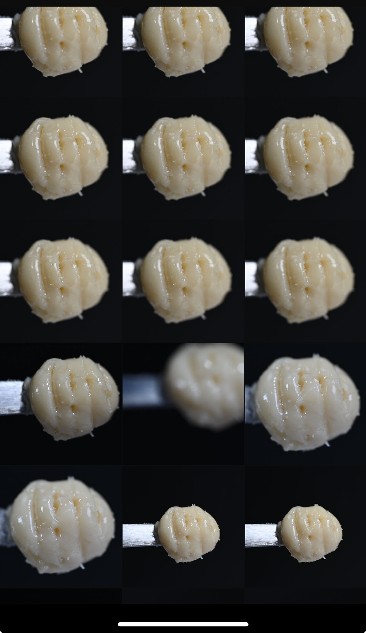Close-up of twelve small, pale yellow, textured spheres