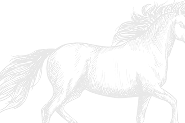 Start Strong Finish Stronger-3.png