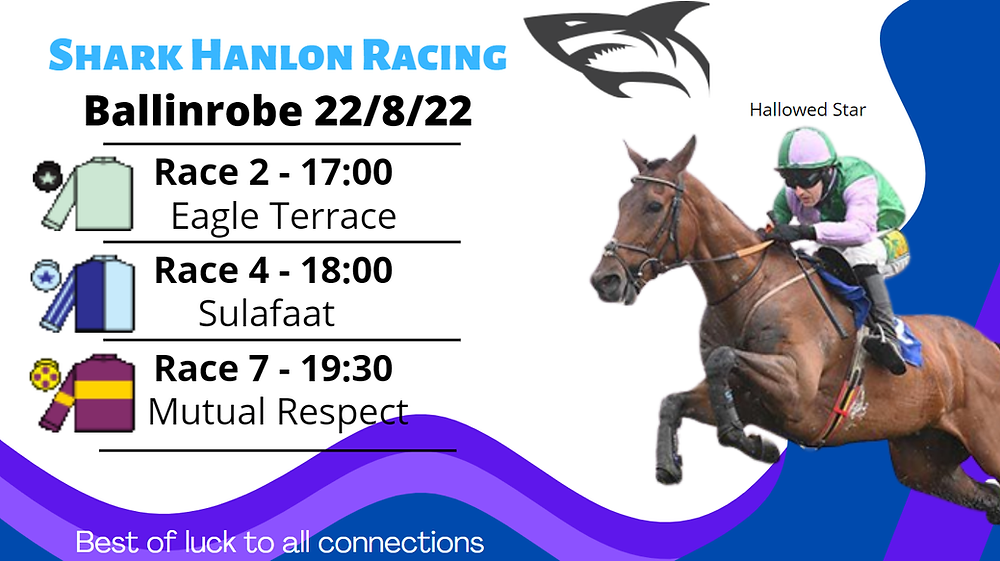 Runners at Ballinrobe 22/8/22