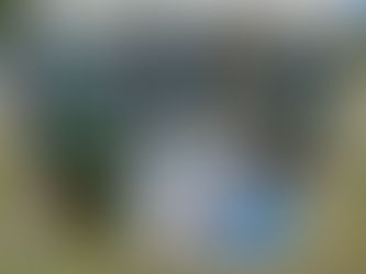 THE LEMON BAY ART ATTACK