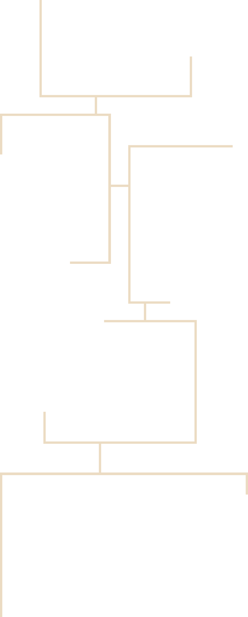 Group 460_2x.png