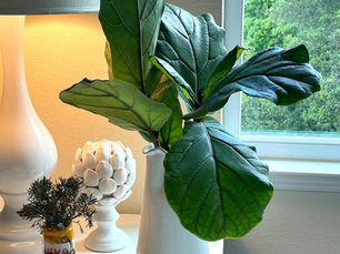 TWEAKS+inspiration : A Member of the Family Grows Up