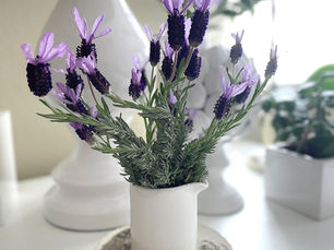 Color Game : The Lavender House