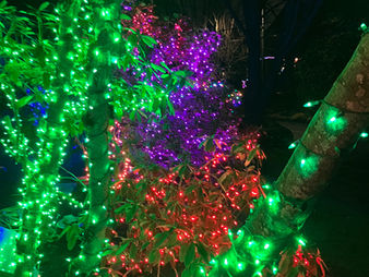 Places We Go : Holiday Decorating with Friends, 2025