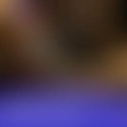 Black's law dictionary