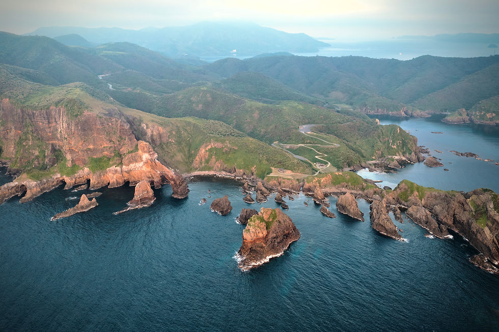 隱岐外觀
