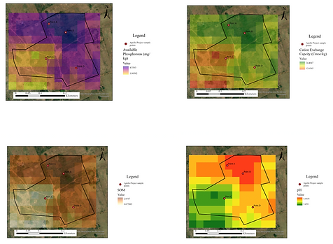 Understanding the Soil Beneath 4 Apollo Forests .png