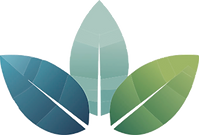 3 leaves LOGO 2024 copy_edited_edited.pn