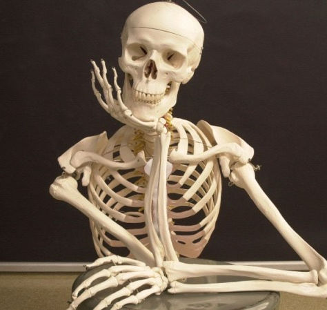 A skeleton represents the passage of time.