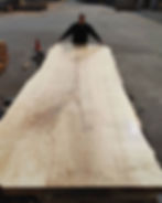 Massive live edge slab of hardwood at Horizon Wood Products