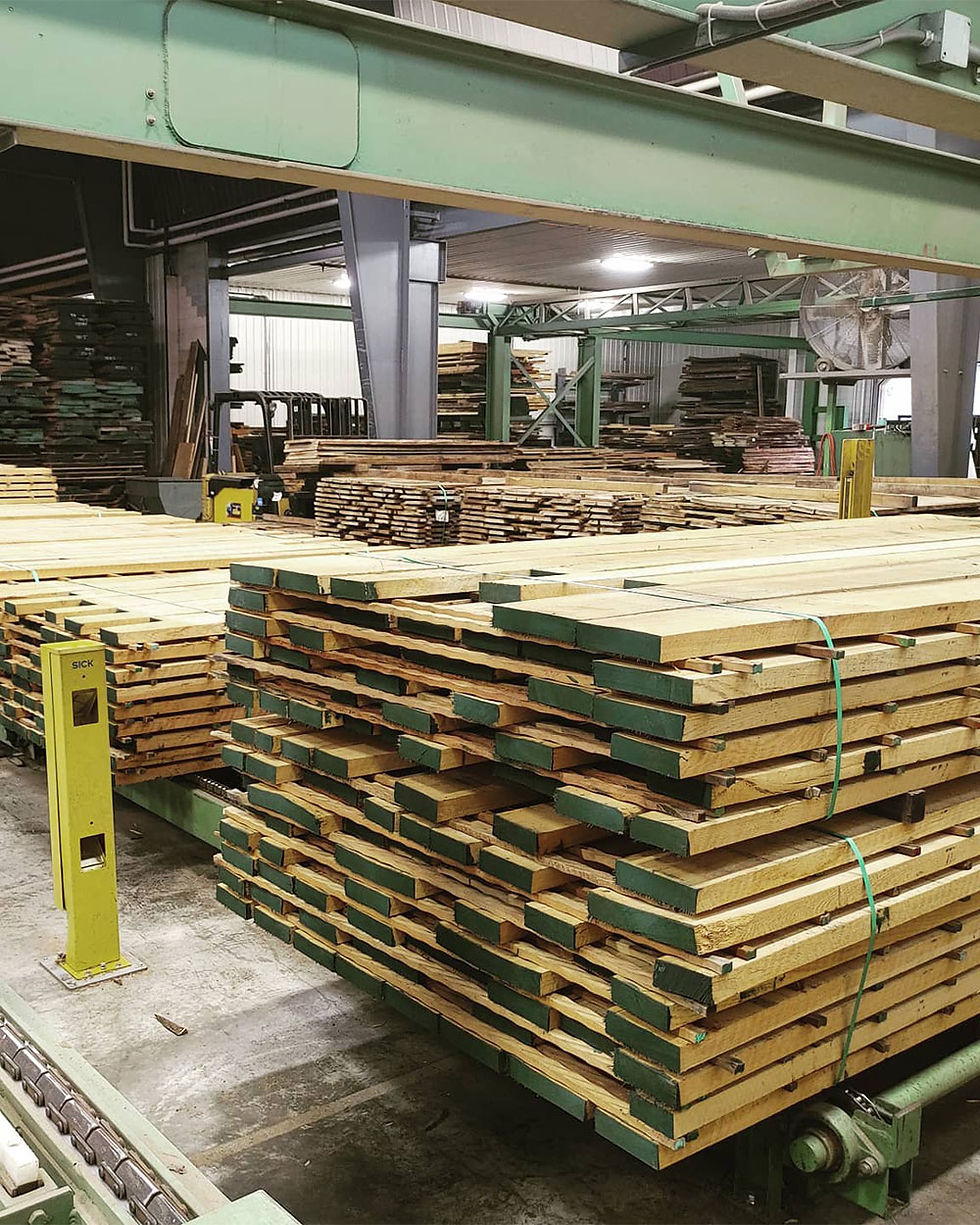 Lumber Horizon Primary