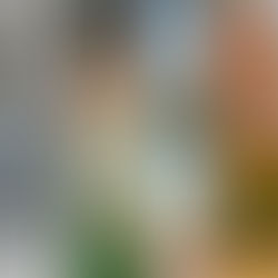 Here's the alt text for the image: Alt Text: Four-panel image showing the four seasons: snow-covered winter trees, spring wildflowers, a tropical summer beach with palm tree, and vibrant fall foliage representing different phases of growth and change
