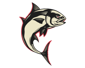 ScheduleLogo(BremertonSockeyes).png