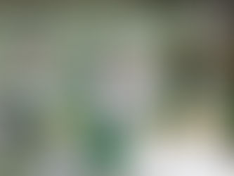 Mavericks players celebrate a goal en route to a round 1 playoff victory over the Battle Creek Kernels.