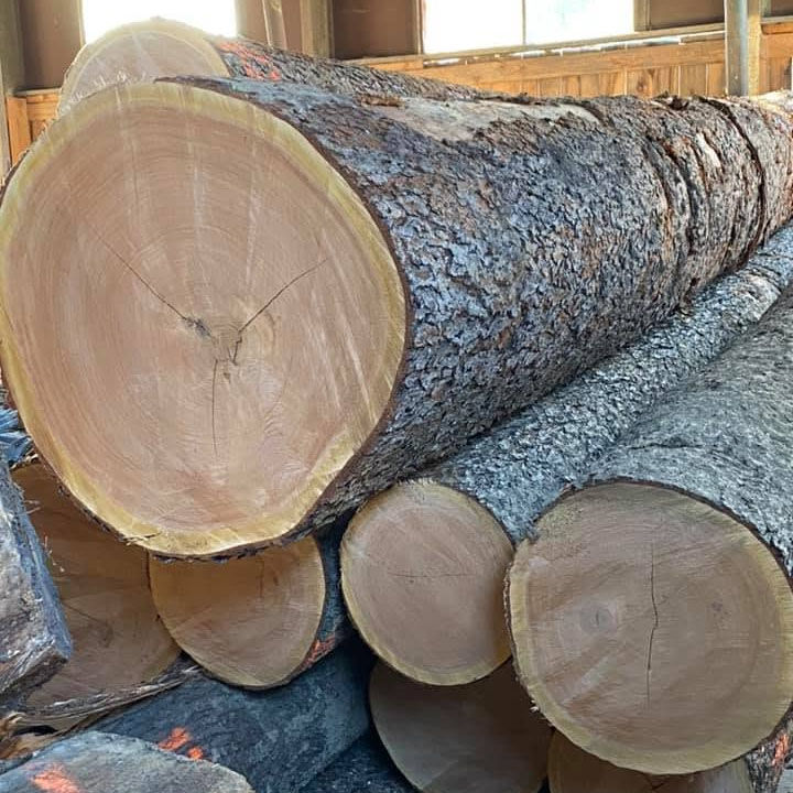 A pile of hardwood logs sustainably harvested from Matson Lumber Company timberland.