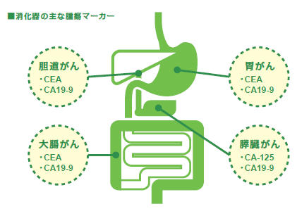 広尾レディース 腫瘍マーカー