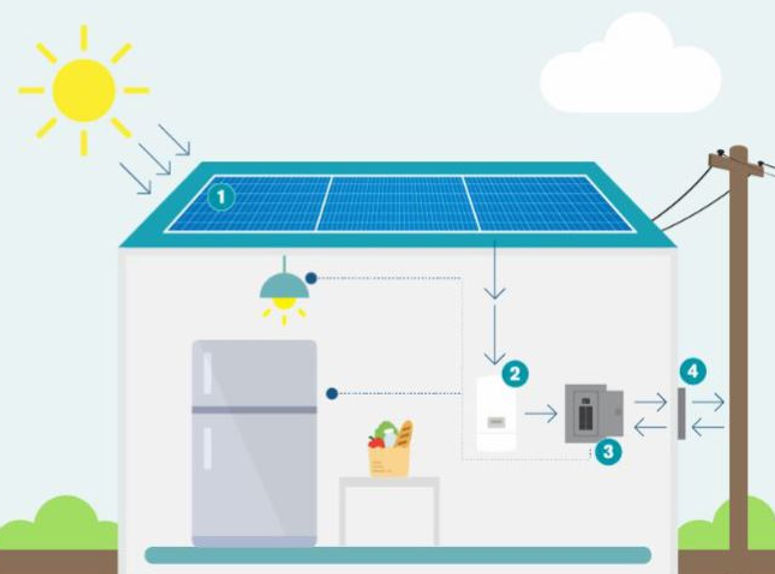 Cómo funcionan los paneles solares CONEKTA
