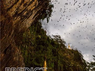 USAID Funded PREDICT Myanmar Project Final Report (2014 - 2020)