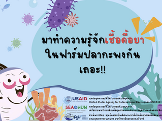 Mapping Resistance in the Waters: Tackling AMR in the Asian Seabass Supply Chain through Genomic Surveillance