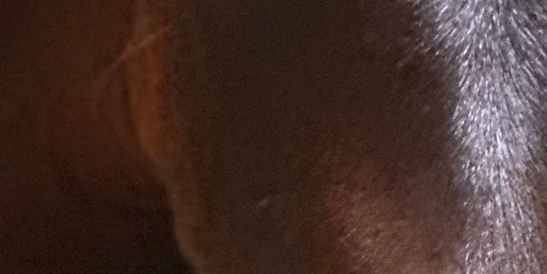 IMG_6405.jpeg