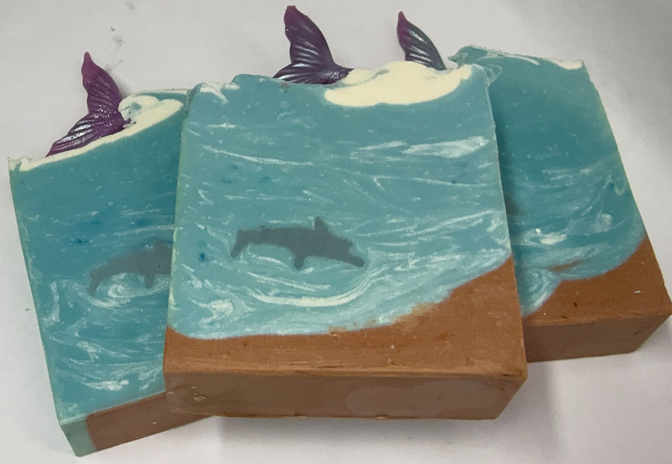 Cross section of the ocean in a bar of soap, sand on the bottom, dolphin swimming in the ocean topped with a mermaid tail