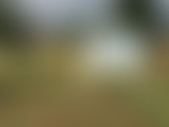 WLTX Street Squad Segment