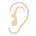 ear-icon-png-2641.png