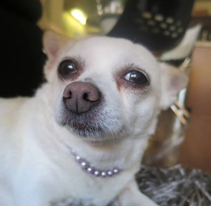Mable