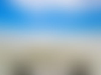 Stay Golden: Luxury Beach Escapes on Isle of Palms