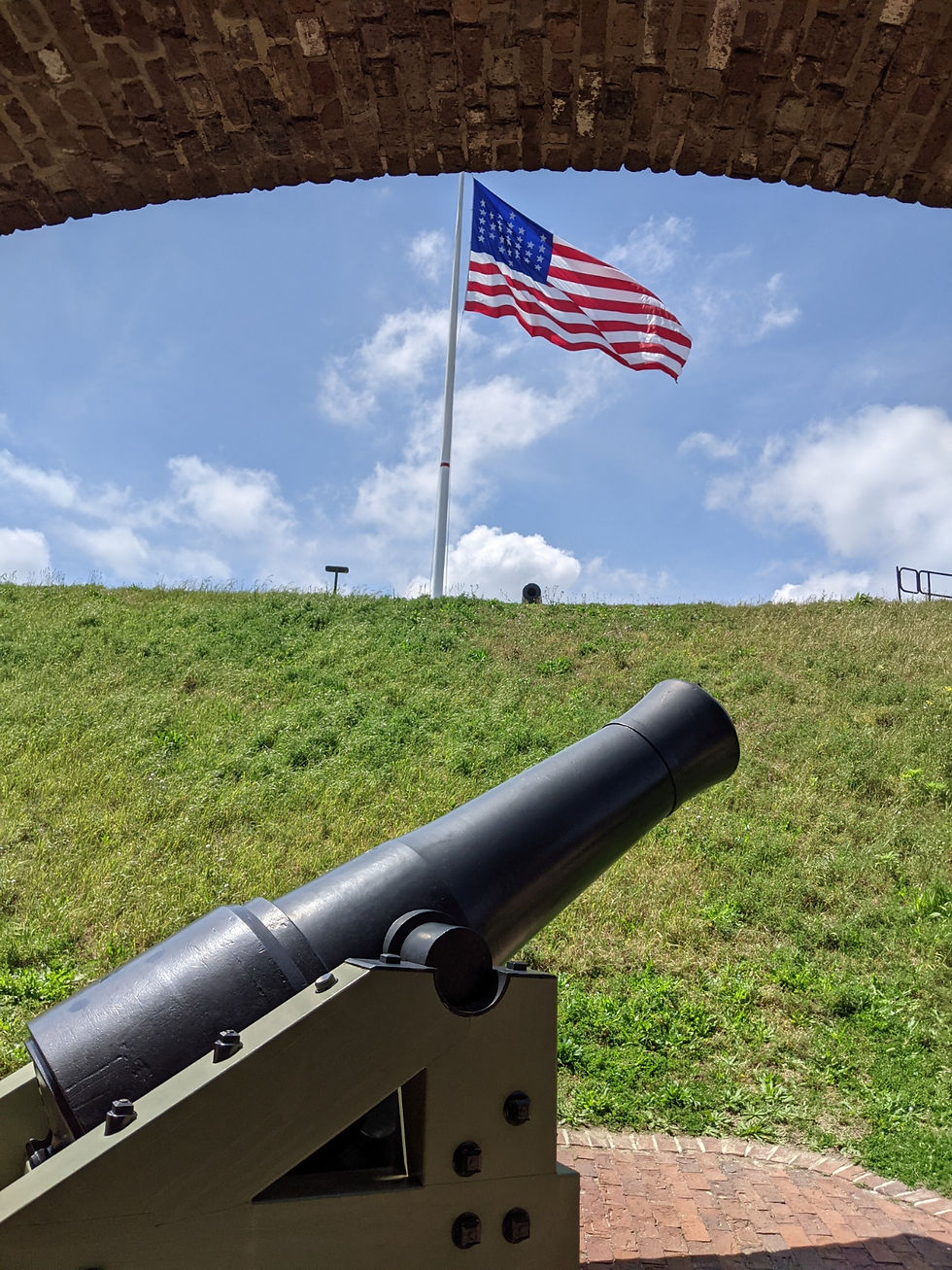 Sumter Flag and Cannon.jpg