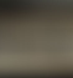 Ein Glühwürmchen-Tagebuch