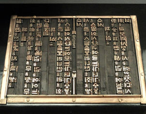 Ein Glühwürmchen-Tagebuch