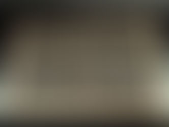 Un diario di lucciola