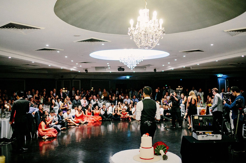 Sydney Wedding Magician performing a stage show