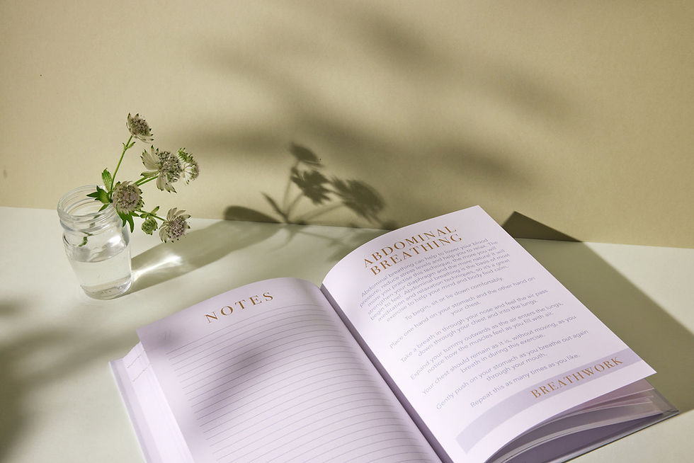 Thumbnail: Self-care and gratitude guided journal by LSW London