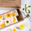 Thumbnail: Vegan-friendly botanical soy wax melts for home fragrance