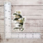 Thumbnail: Floriographic Sticker: Myrtle