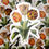 Thumbnail: Floriographic Sticker: Tulip