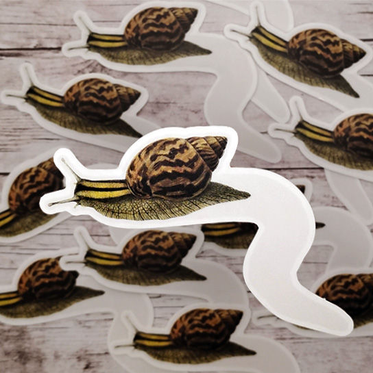 Thumbnail: Snail Trail Sticker