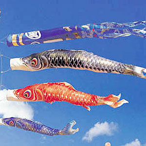 Flying Carp