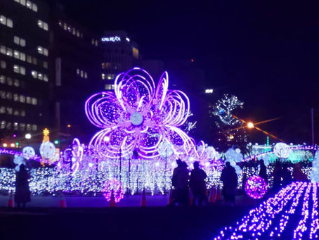 Sapporo White Illumination