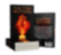 The Fire Within - bookcovermockup group kp.png