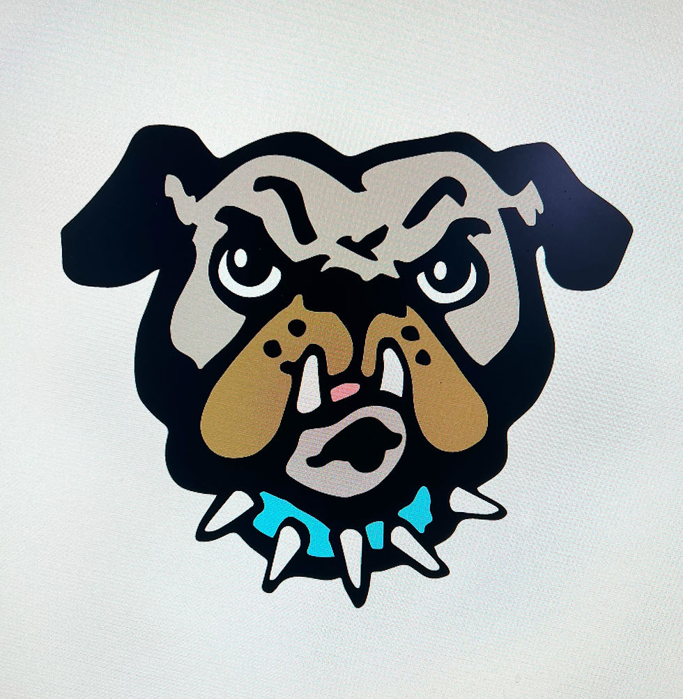 Converted drawing into Adobe Illustrator vector file